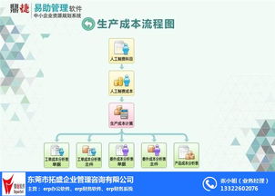 erp系統(tǒng)的作用 拓盛企業(yè)管理咨詢 推薦商家