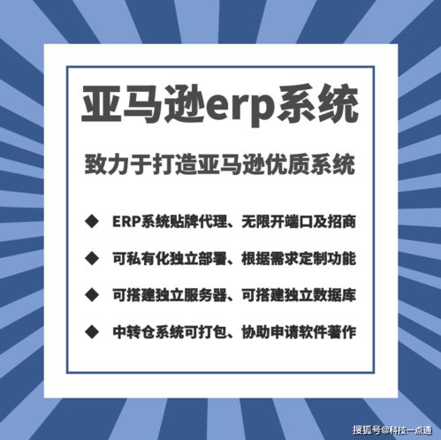亞馬遜erp貼牌定制